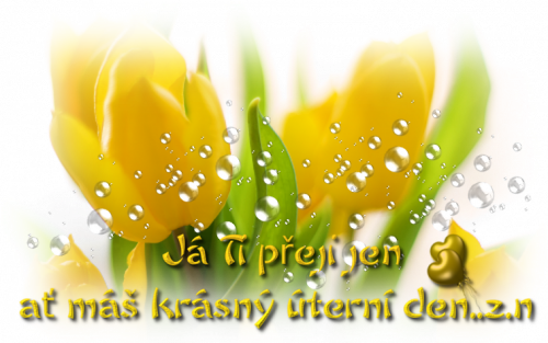 iiá22222