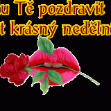 lmkoijn