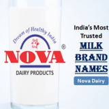 milk-brand-names