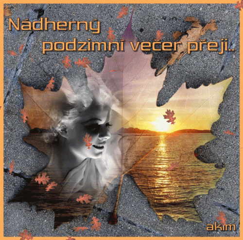 nnnbvc