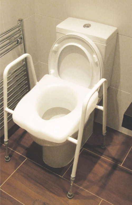 president-raised-toilet-seat-and-frame2.jpg