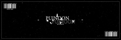 puinoon h