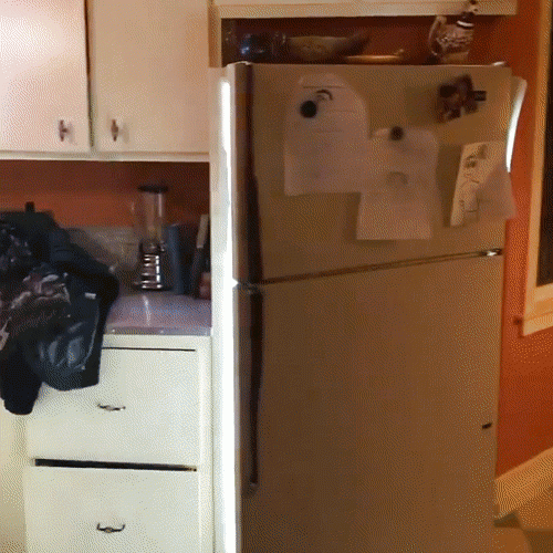 refrigerator-door.gif