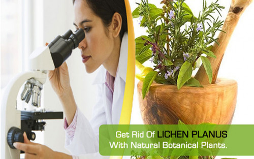 We sell original Herbal Products composed of Natural Herbs Clinic obtained from the world’s top botanic gardens under the cautious administration of experts... http://www.im-creator.com/free/naturalherbsclinic/natural_herbal_remedies