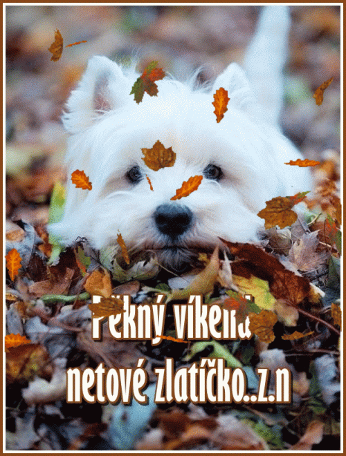 sobota