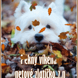 sobota