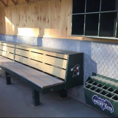 Our Valerio benches are MLB-style 2-tiered dugout benches with Upper & Lower level seating, which are in use in many Major University Baseball & Softball programs. 
https://www.baseballracks.com/product-page/valerio-bench